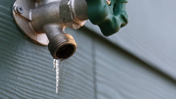 Best Commercial Plumbing Services  in Colfax, CA